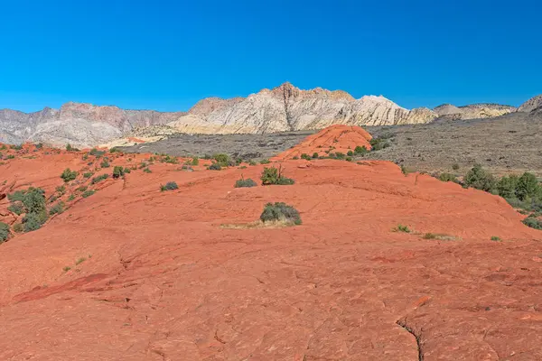 Campo Lava Entre Piedra Arenisca Roja Blanca Snow Canyon State —  Fotos de Stock