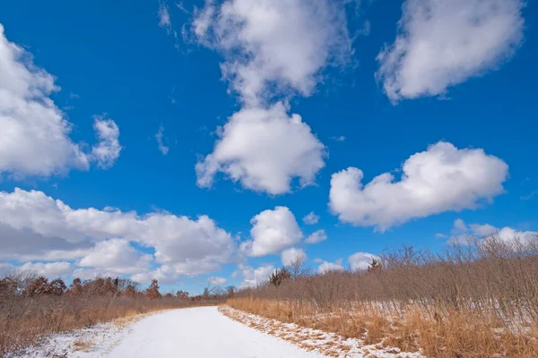 イリノイ州のクラフトツリー自然保護区で晴れた冬の日にパフィー雲 — ストック写真