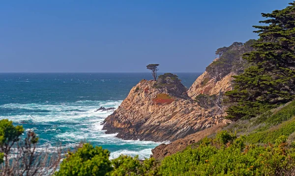 Monterey Cypress Uma Costa Rochosa Point Lobos State Natural Reserve — Fotografia de Stock