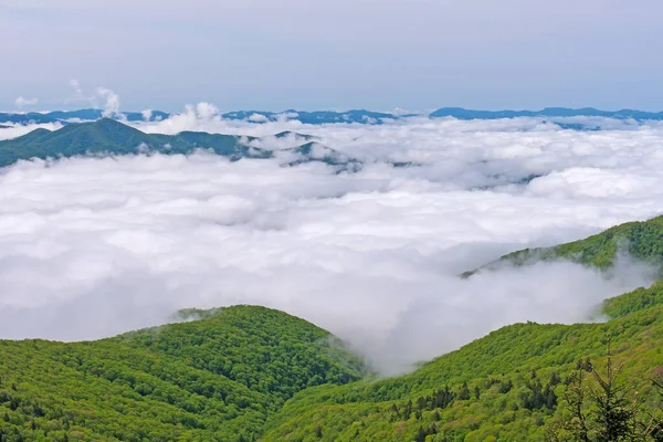 Nubes Enclavadas Los Valles Blue Ridge Blue Ridge Parkway Carolina — Foto de Stock