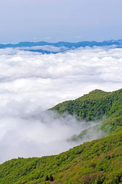 Valles Montaña Llenos Nubes Largo Del Blue Ridge Parkway Carolina — Foto de Stock