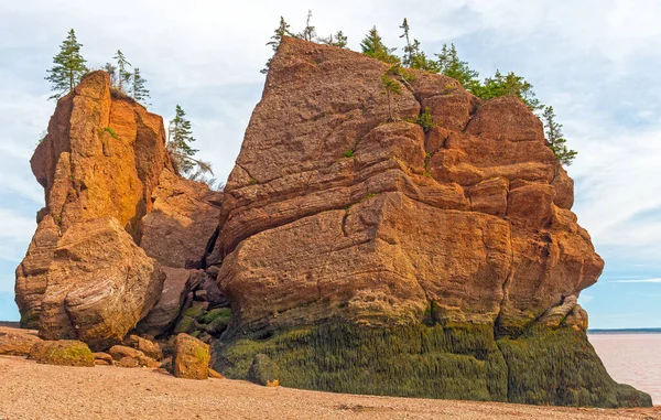 Odhalená Skála Při Odlivu Zátoce Fundy New Brunswicku — Stock fotografie