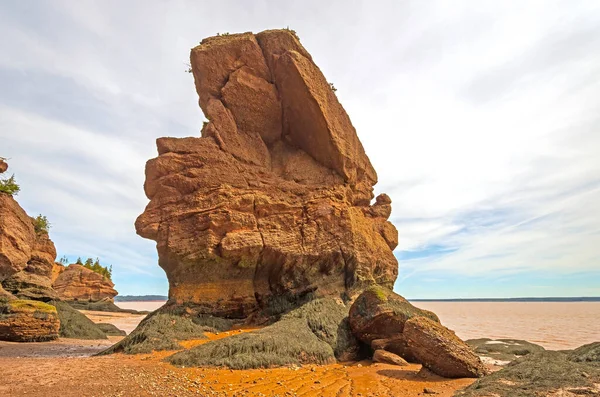 Gekarteld Sea Stack Bij Low Tide Het Rocks Provincial Park — Stockfoto