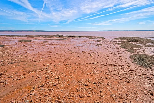 Exponerat Havsgolv Vid Low Tide Rocks Provincial Park New Brunswick — Stockfoto