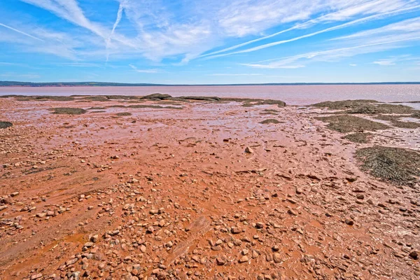 Fondo Marino Esposto Bassa Marea Nel Parco Provinciale Delle Rocce — Foto Stock