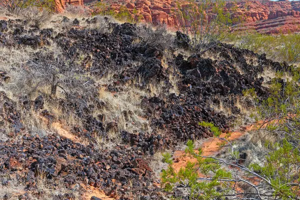 ユタ州のスノーキャニオン州立公園の砂漠への火山の流れ — ストック写真