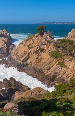 Kaliforniya 'daki Point Lobos State Doğal Koruma Alanı' nda köpüklü su kanalları.