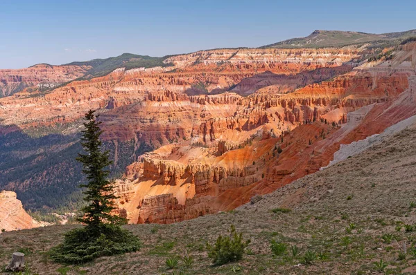 Ombres Soleil Sur Canyon Coloré Cedar Breaks National Monument Utah — Photo