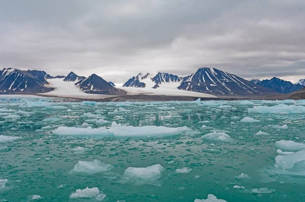 Rijke Kleuren Een Arctische Habitat Bij Lilliehookfjorden Spitsbergen Noorwegen — Stockfoto