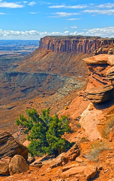 Sandsteinrücken Der Aus Einer Schlucht Canyonlands Nationalpark Utah Ragt — Stockfoto