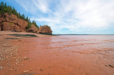 New Brunswick 'teki Kayalıklar İl Parkı' nda Deniz Zemini Çamuru