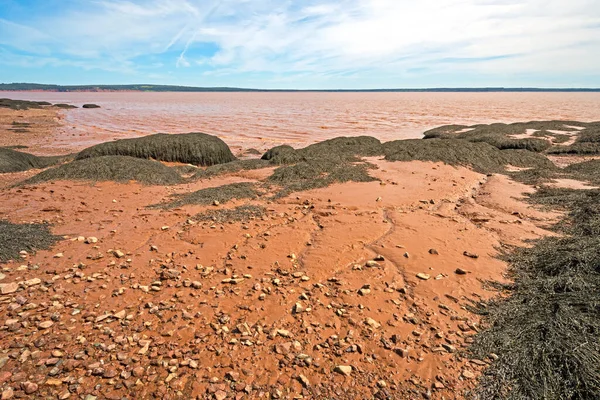 Agua Roja Rocas Lodo Algas Marinas Marea Baja Parque Provincial — Foto de Stock