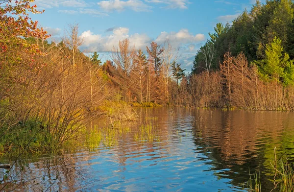 Укрытая Бухта Вечернем Свете Озере Кларк Дикой Природе Сильвания Мичигане — стоковое фото