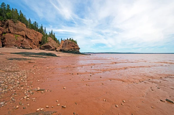 Sea Floor Mud Bij Low Tide Bij Rocks Provincial Park — Stockfoto