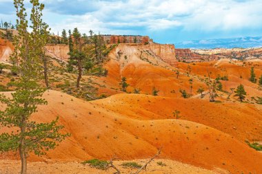 Dunes of Eroded Siltstone in Bryce Canyon National Park in Utah