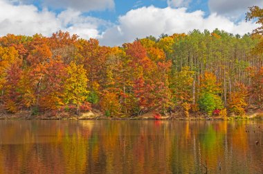 Pastel Reflections of an Autumn Forest on Strahl Lake in Brown Country State Park in Indiana