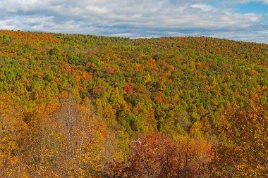 Fall Colors on a Mountain Ridge in Shenandoah National Park in Virginia