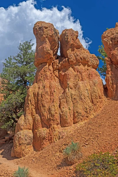 Unikalne Formacje Eroded Siltstone Pustyni Czerwonego Kanionu Utah — Zdjęcie stockowe