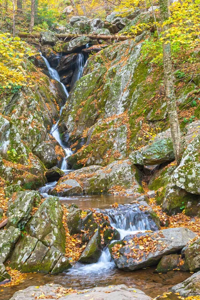 Cascada Tranquila Bosque Otoño Rose Creek Parque Nacional Shenandoah Virginia —  Fotos de Stock