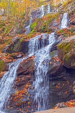 Virginia 'daki Shenandoah Ulusal Parkı' ndaki Dark Hollow Şelalelerinde Sonbaharda Dağ Şelalesi