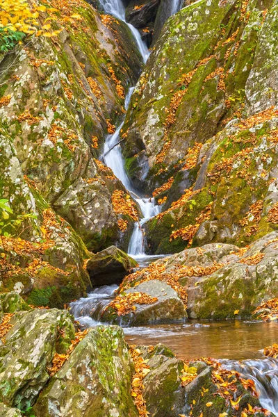 Tyst Ström Löpning Bland Klipporna Rose Creek Shenandoah National Park — Stockfoto