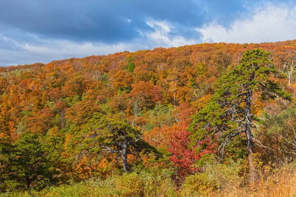 弗吉尼亚神州国家公园天际线路上一座山岭上的秋色 — 图库照片