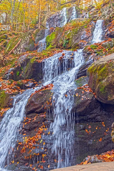 Cascata Montanha Outono Dark Hollow Falls Parque Nacional Shenandoah Virgínia — Fotografia de Stock