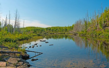 Minnesota 'daki Sınır Suları' nda Jasper Gölü 'nde Sabah Işığı