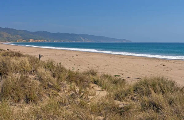 Дистанционный Пляж Калифорнийском Побережье Пойнт Рейес Штат Калифорния — стоковое фото