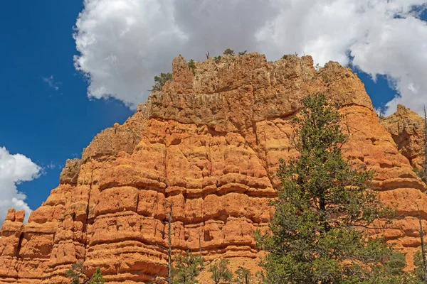 Dramatic Siltstone Layers Red Canyon Dixie National Forest Utah — Stock Photo, Image