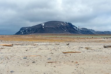 Norveç 'in Svalbard Adaları' ndaki Kuzey Kutbu 'ndaki Issız Plaj