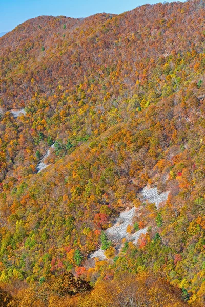 弗吉尼亚雪南多国家公园一座陡峭的山的秋色覆盖 — 图库照片