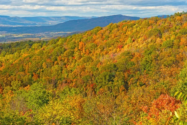 バージニア州のシェナンドー国立公園の山の尾根の秋の色 — ストック写真