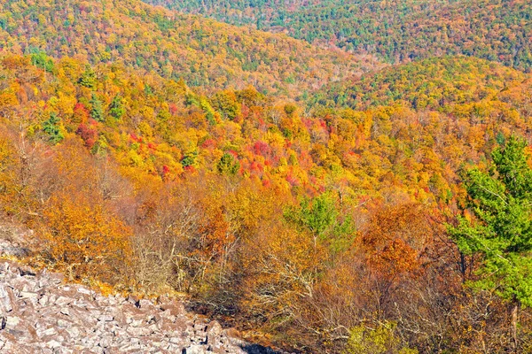 来自弗吉尼亚神州国家公园的高山山谷的秋天的色彩 — 图库照片