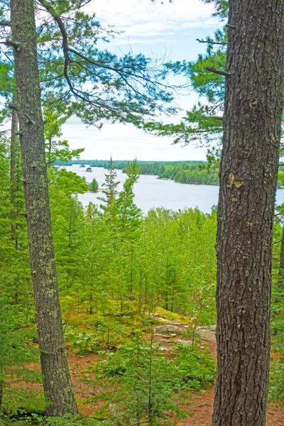 Lago Pitoresco Visto Através Floresta Parque Nacional Voyageurs Minnesota — Fotografia de Stock