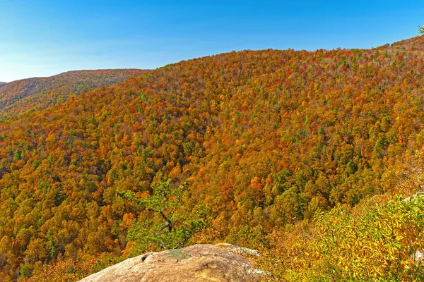弗吉尼亚蓝岭大道上蓝岭山脉的秋天全景 — 图库照片