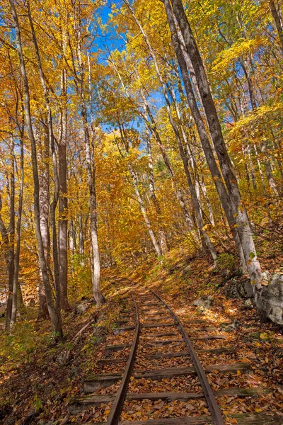Cores Outono Sobre Uma Linha Ferroviária Abandonada Longo Blue Ridge — Fotografia de Stock