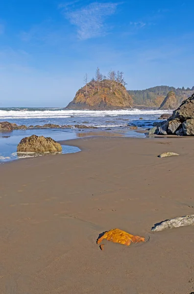 Klidné Pohledy Vzdálenou Pláž Trinidad State Beach Kalifornii — Stock fotografie