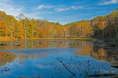 Virginia 'daki Blue Ridge Parkway' deki Otter Gölü 'nde Akşam Işığı Altında Sonbahar Renkleri