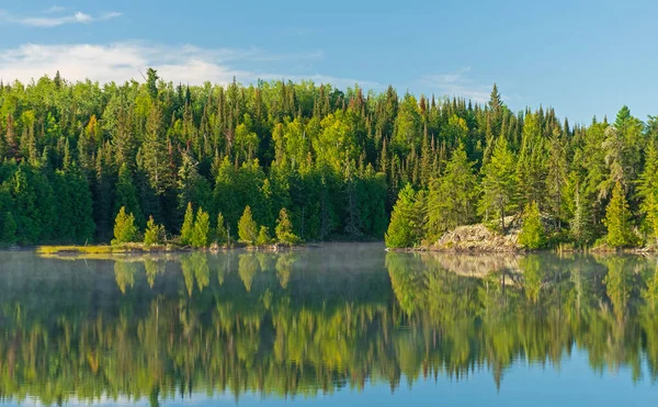 Grüne Schatten Nordwald Jenny Lake Kanugebiet Boundary Waters Minnesota — Stockfoto