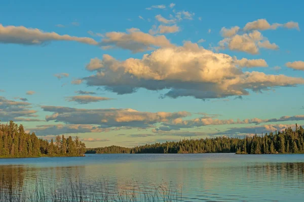 Tyst Kväll Northwoods Lake Black Lake Nopiming Provincial Park Manitoba — Stockfoto
