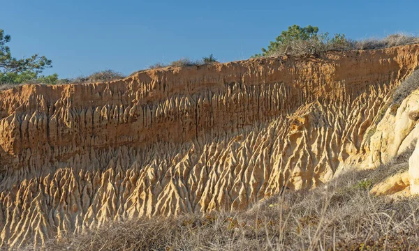 Fluted Erosion Sandstone Cliffs Torrey Pines State Nature Preserve California — Stock Photo, Image