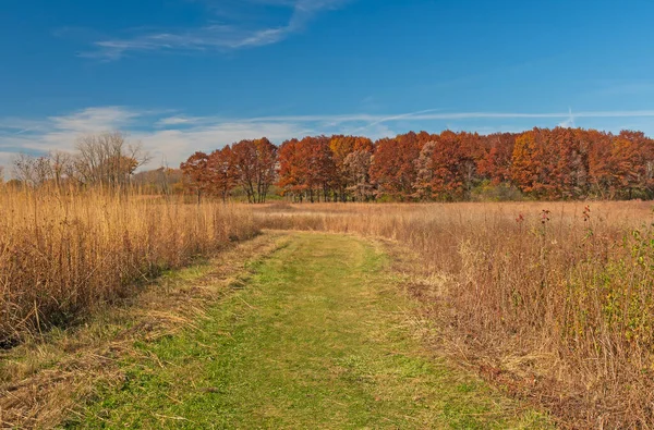 Praiire Path Fall Crabtree Nature Preserve Illinois — стокове фото