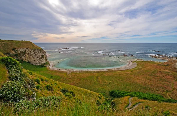 Живописный Залив Отдаленном Побережье Нир Кайкоура Новая Зеландия — стоковое фото