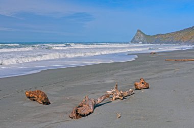 California 'daki Humboldt Lagoon Eyalet Parkı' ndaki Uzak Sahilde Dalgalar ve Dalgalar