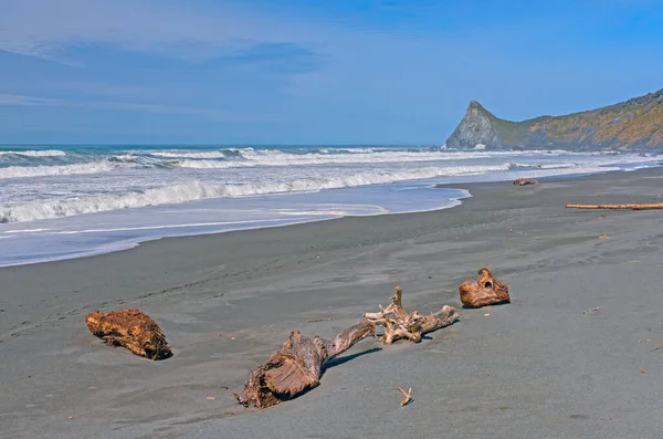 Driftwood Waves Odległej Plaży Parku Stanowym Humboldt Lagoon Kalifornii — Zdjęcie stockowe