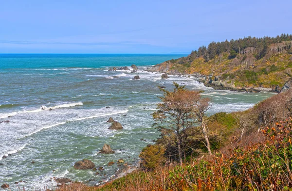Rocky Bay Aan Californische Kust Bij Sue Meg State Park — Stockfoto