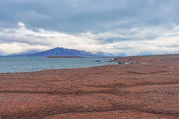 Desolate Rocky Shore High Arctic Worsleyneset Svalbard Islands — Stock fotografie