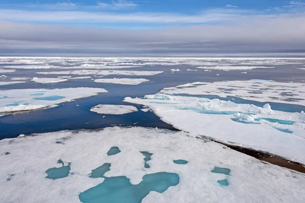 Pack Ice Arctic Summer North 83Rd Parallel — Stock Photo, Image