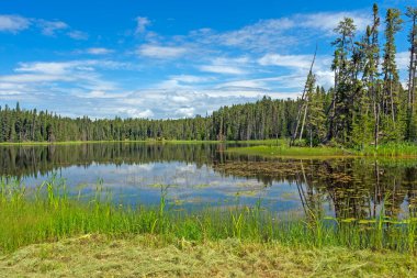 Manitoba 'daki Duck Mountain İl Parkı' ndaki Two Mile Gölü 'nde Kuzey Ormanı' nda Idyllic Günü